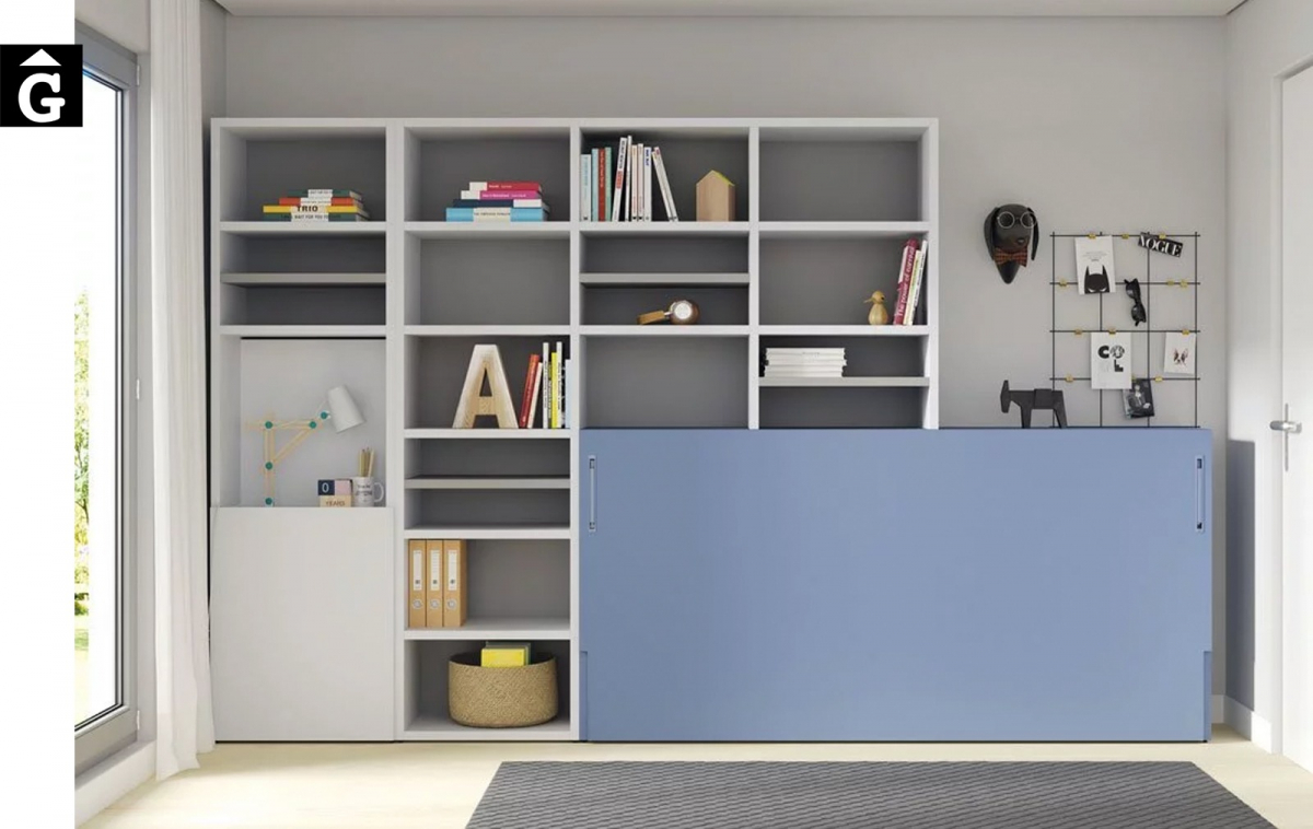 Habitació llit abatible, llibreria i taula