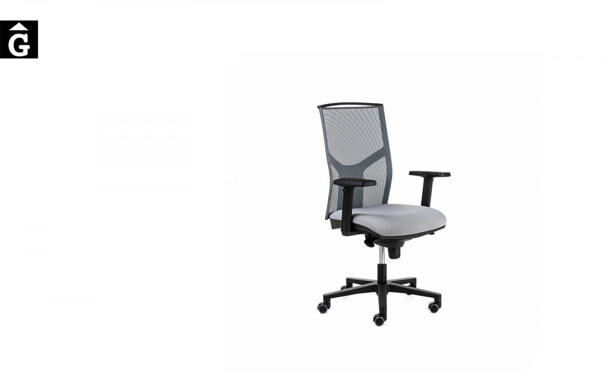 Cadira oficina negra Akita Pro Vista general | Mobles Oficina | Dile | mobiliari d'oficina molt interessant | Dileoffice