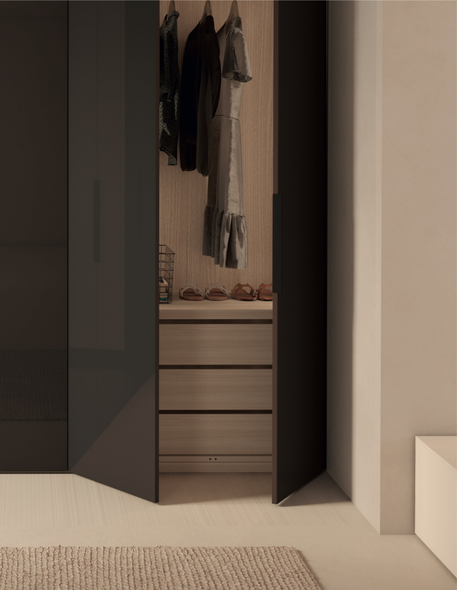 Armari amb portes abatibles de vidre