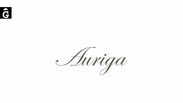 Auriga